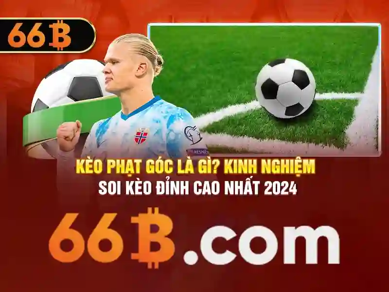 66b: Khám phá và ý nghĩa