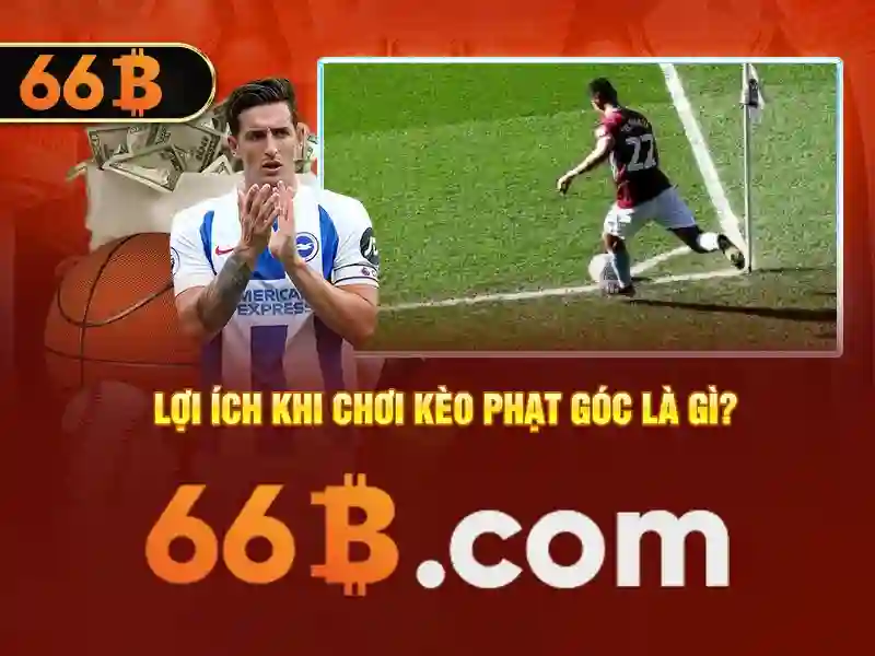 Tương lai của 66B và nghiên cứu