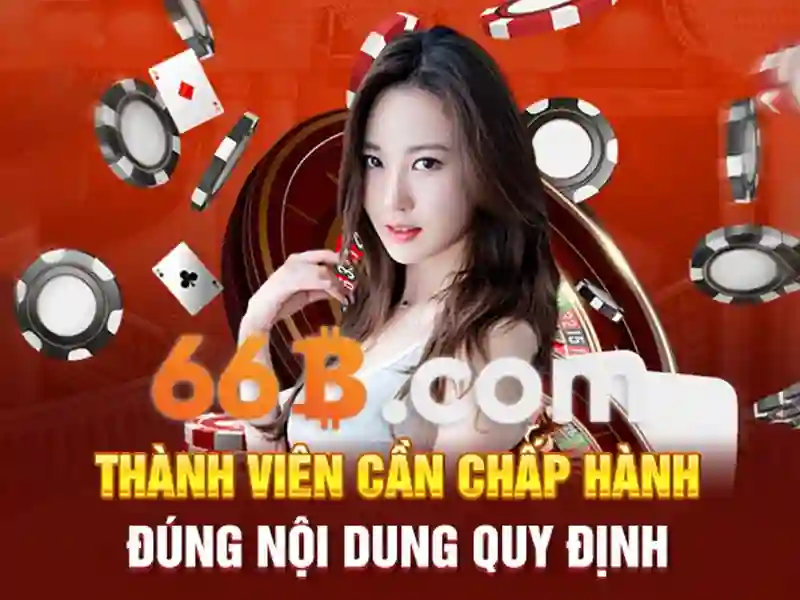 66b-khuyen-mai-overview