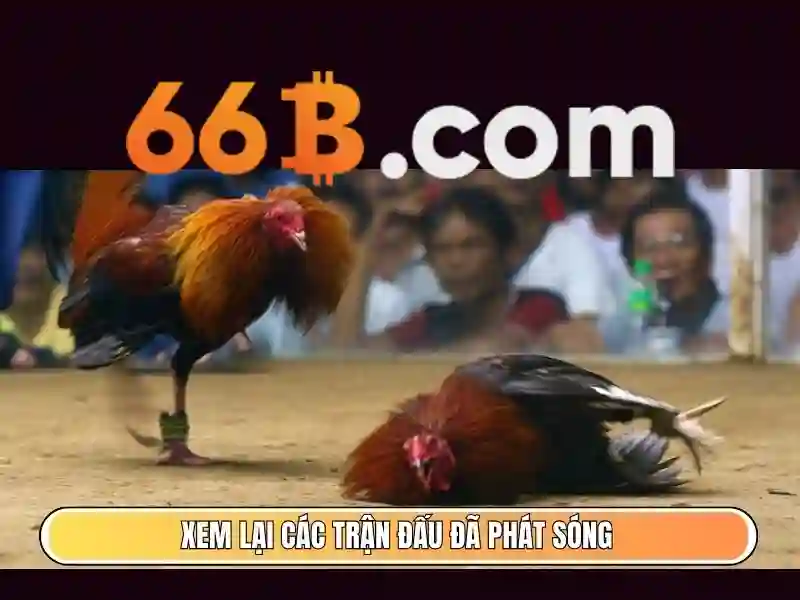 66B: Mô hình ngôn ngữ 66 tỷ tham số và ứng dụng