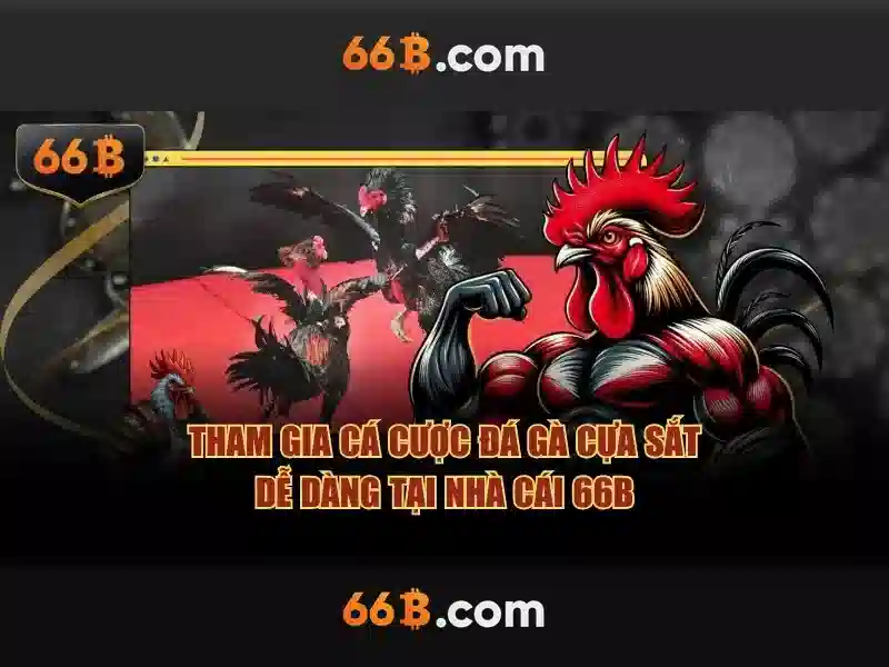 Đặc điểm nổi bật của 66b trong thiết kế