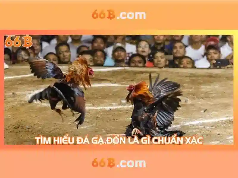Kiến trúc và thành phần