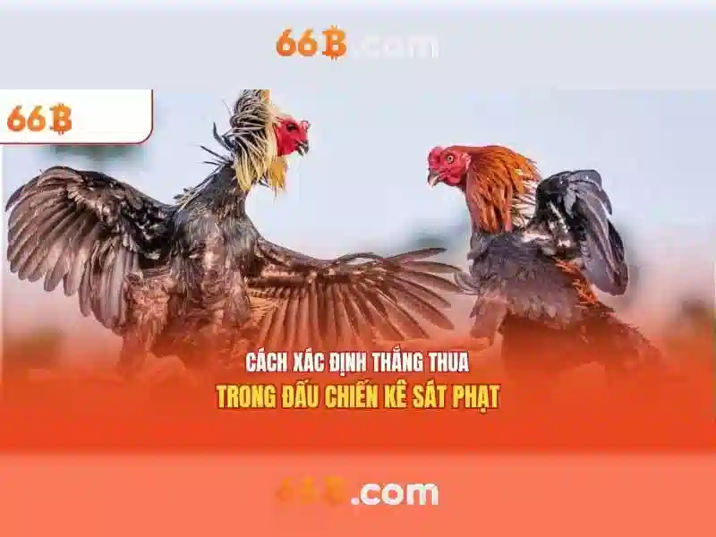 Cấu hình và tham số của 66B