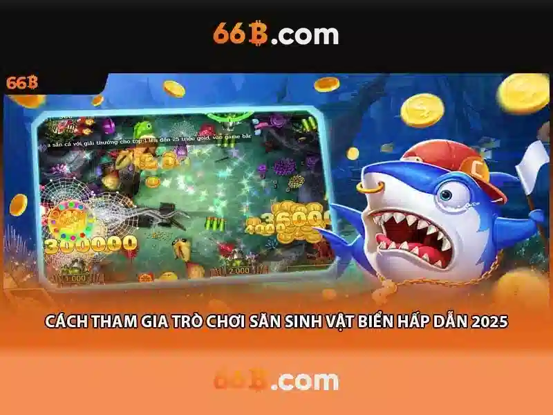 66b trong công nghệ thông tin