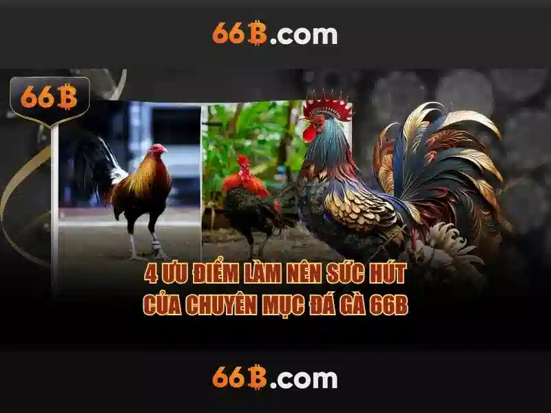 66b là gì?