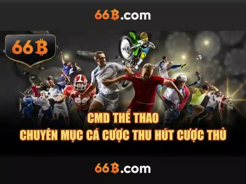 Kết luận về 66B