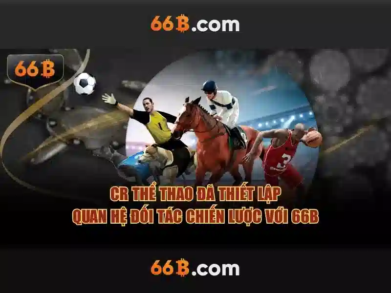 Lựa chọn 66b cho dự án ảnh và quảng cáo