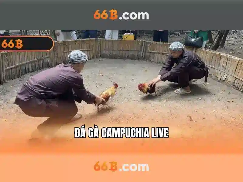 66b và ý nghĩa của nó trong các ngữ cảnh