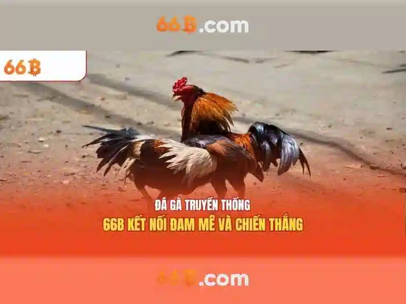 66b và ý nghĩa của nó trong các ngữ cảnh