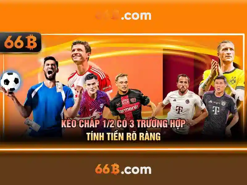 Kiến trúc và tham số