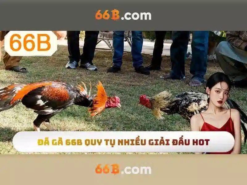 Ứng dụng và vai trò của 66b