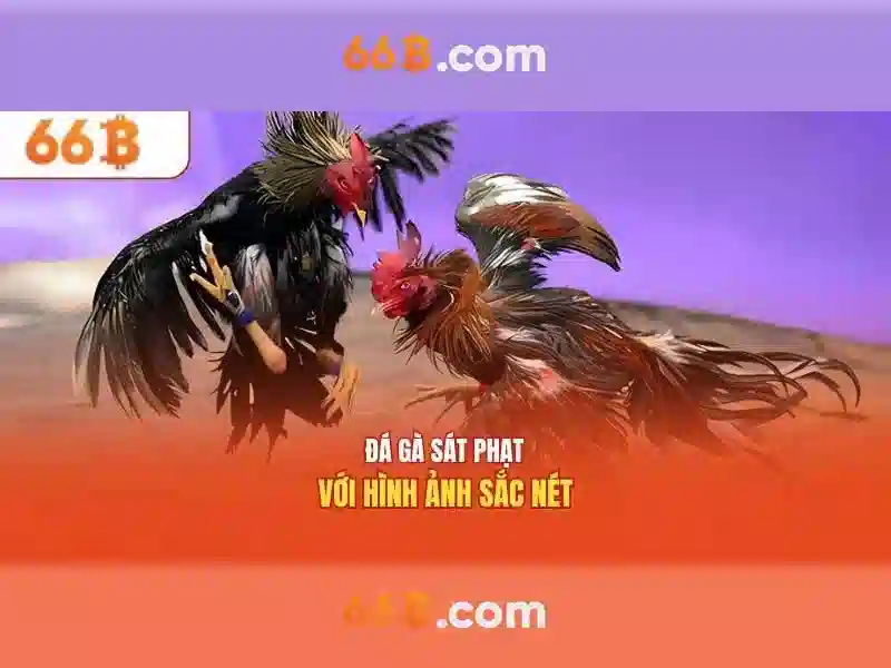 66b: Khái niệm và ứng dụng của mô hình ngôn ngữ quy mô lớn