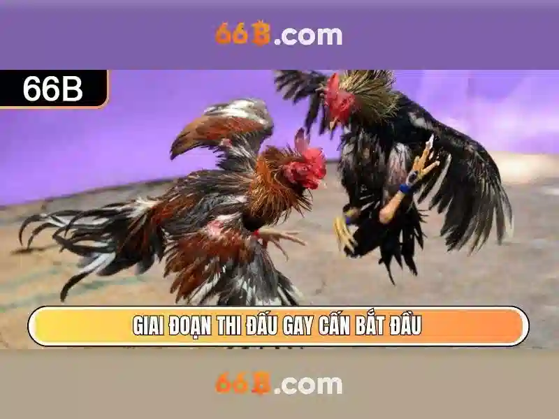 66B: Mô hình ngôn ngữ lớn với 66 tỷ tham số và ảnh hưởng của nó