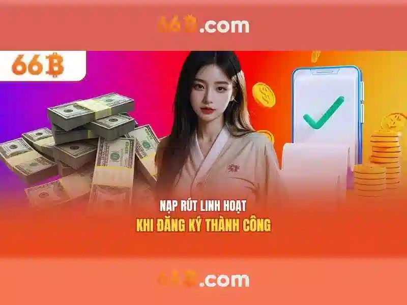 66b: một khung nhìn tổng quan