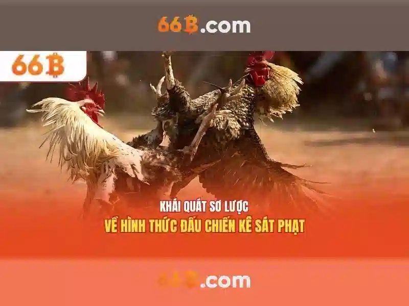 Mô hình 66B: Khai thác sức mạnh của 66 tỷ tham số