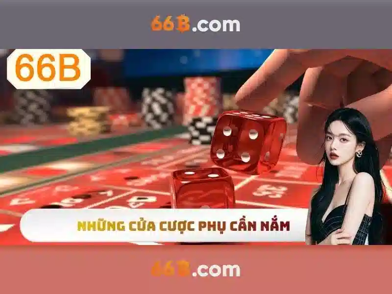 Ứng dụng của 66B trong cuộc sống