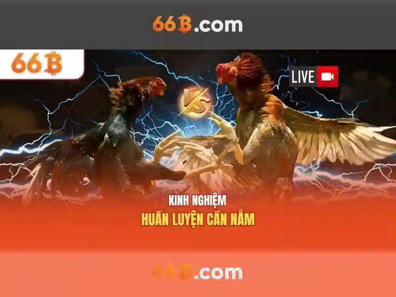 66b: Mô hình ngôn ngữ với 66 tỷ tham số và hành trình của trí tuệ nhân tạo