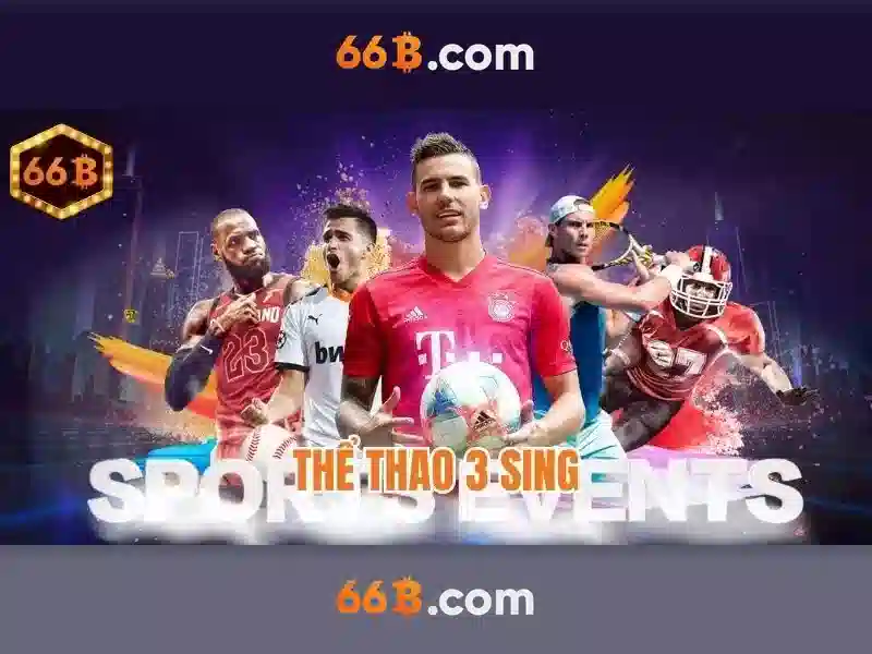 Đặc điểm của 66B