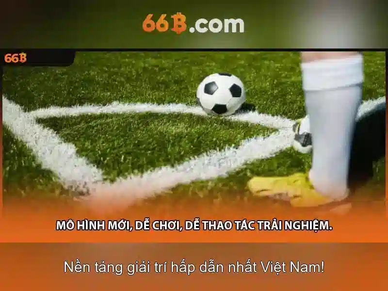 66B: Từ Giới thiệu đến Ứng dụng