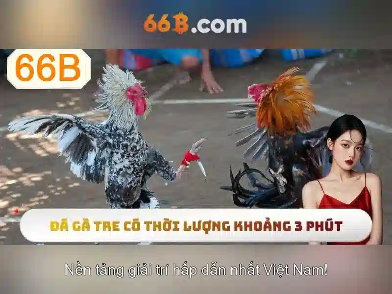 66b là gì?