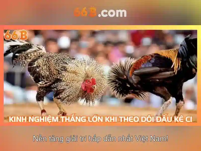 66B: Siêu mô hình ngôn ngữ lớn và những đặc điểm nổi bật