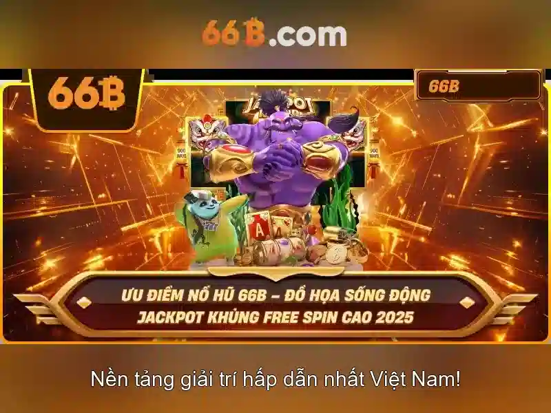 66B là gì và vì sao nó được quan tâm
