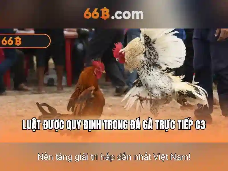 Lớp tham số và kiến trúc