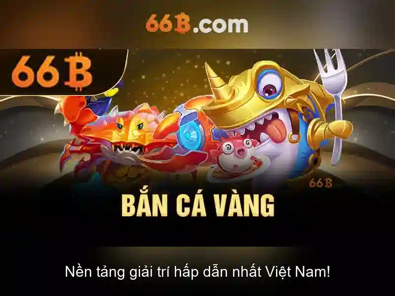 66B là gì