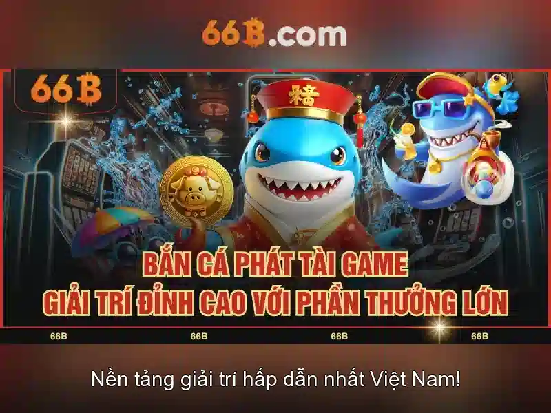 66B là gì?