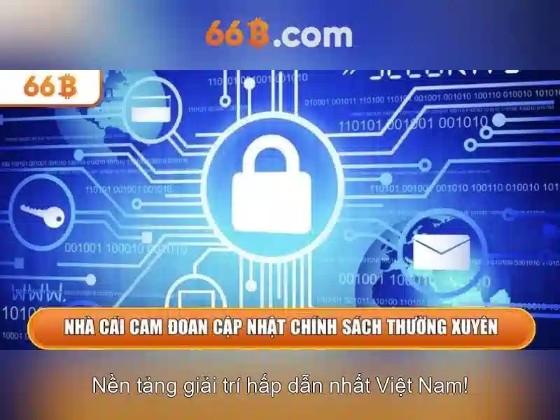 66B là gì