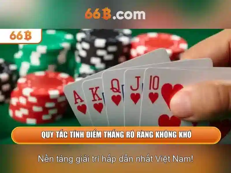 Minh-hoa-choi-ban-ca-66b