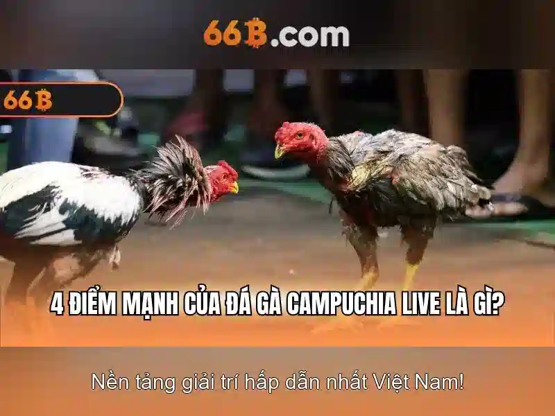Ứng dụng của 66b