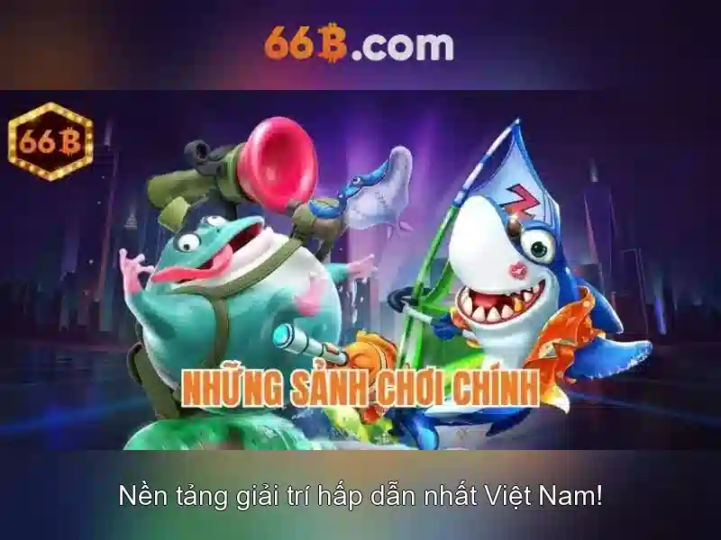 66b là gì?