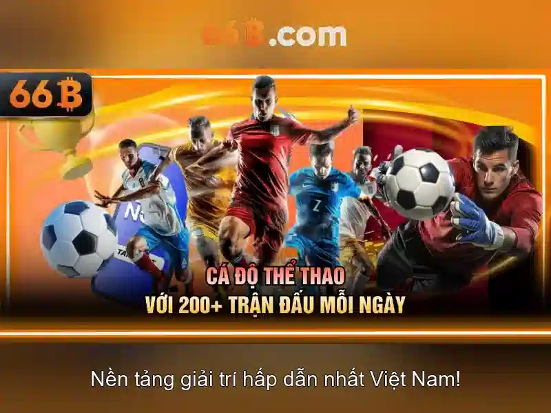 Đặc điểm nổi bật của 66B