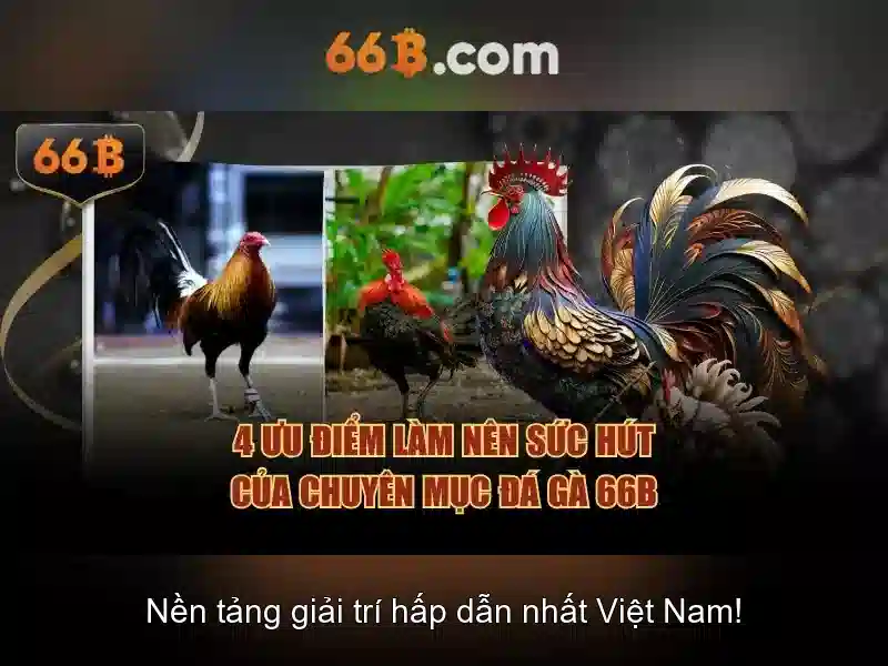 66B: mô hình ngôn ngữ lớn ở quy mô 66 tỷ tham số
