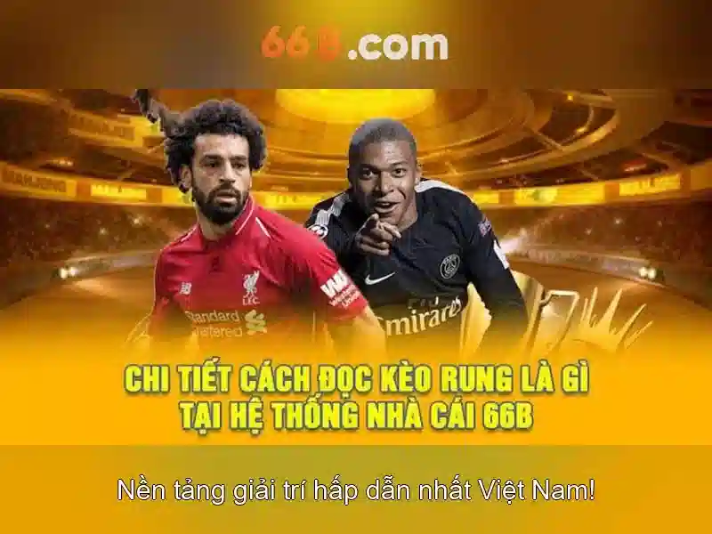 Kết luận và triển vọng