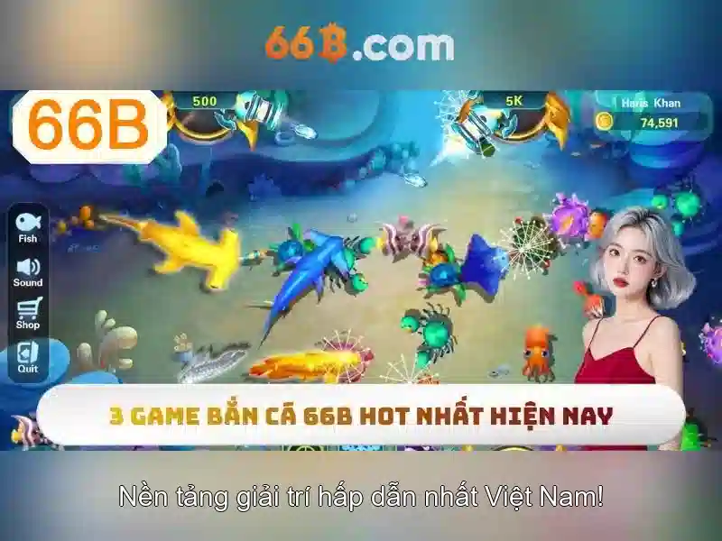 66b-platform