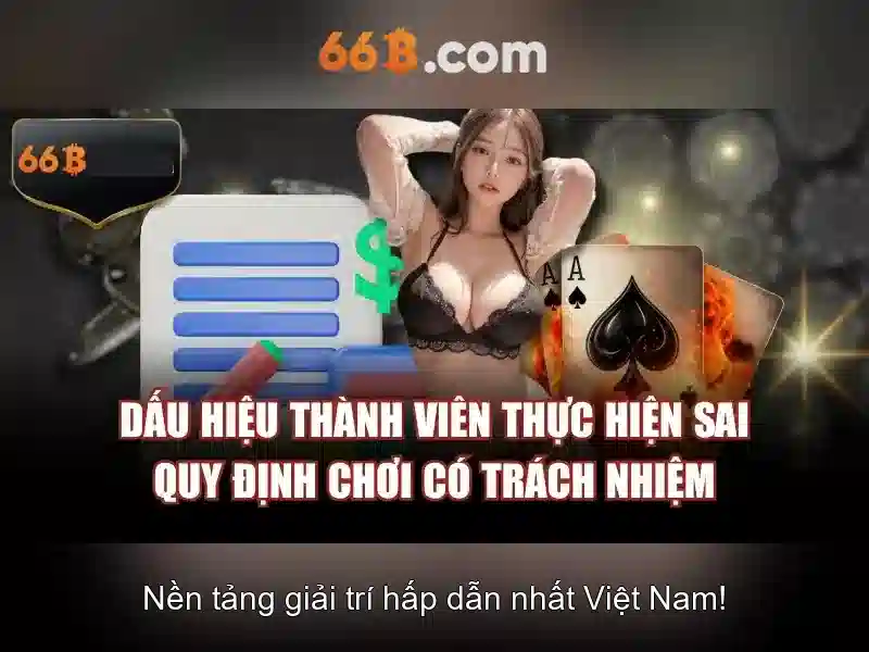 66B là gì?