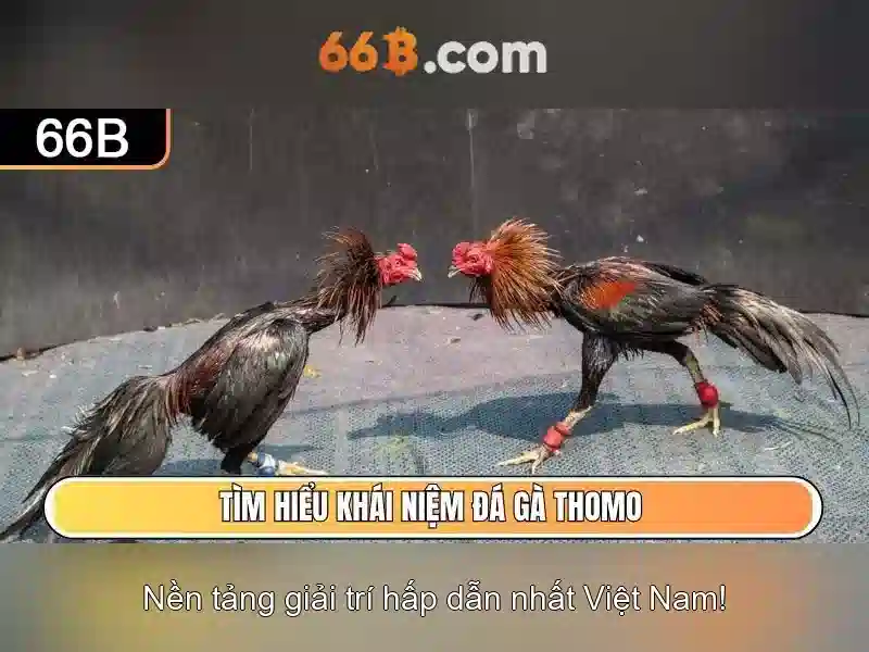 66B: Mô hình ngôn ngữ 66 tỷ tham số và hành trình của nó