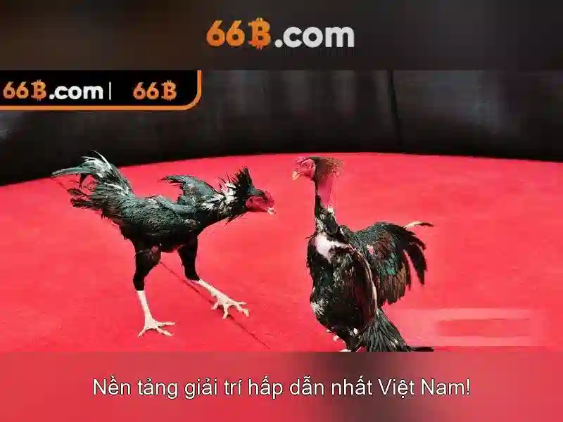 Kiến trúc và dữ liệu