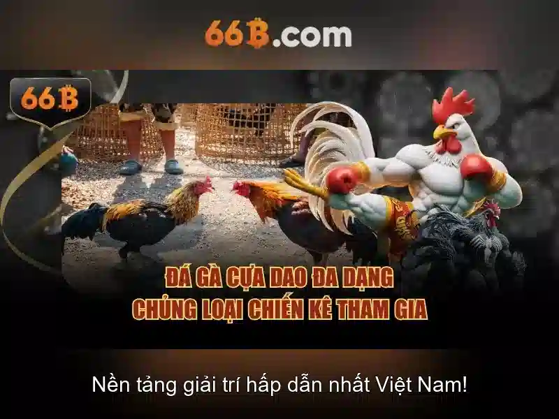 Giới thiệu về 66B