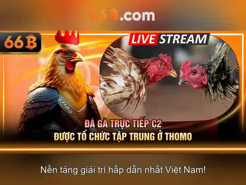 66B: Mô hình ngôn ngữ quy mô lớn (66 tỷ tham số)