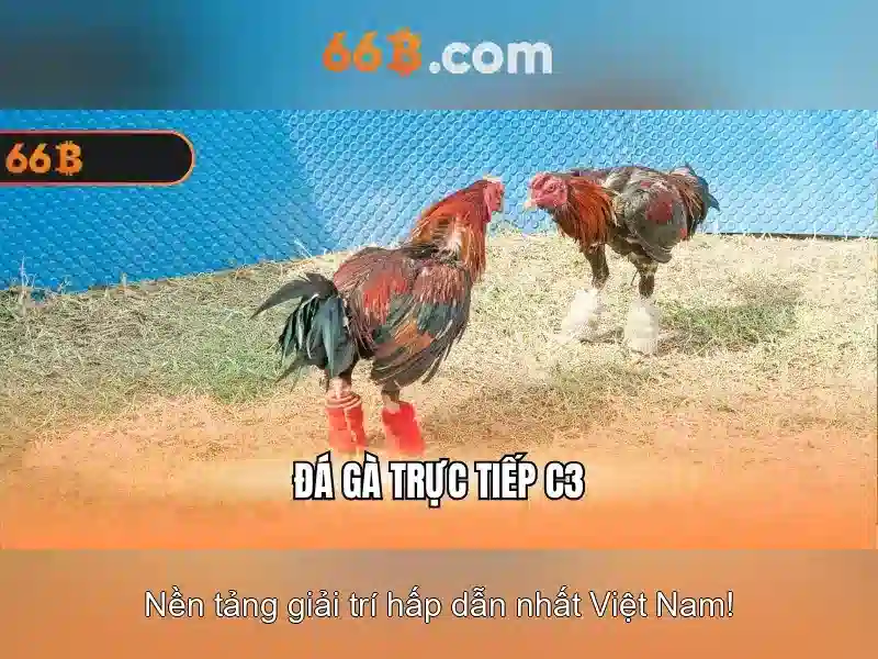 Kiến trúc và tham số