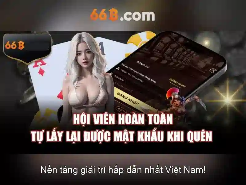 Khái niệm cơ bản về 66b