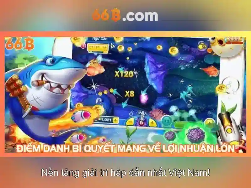 66b là gì?