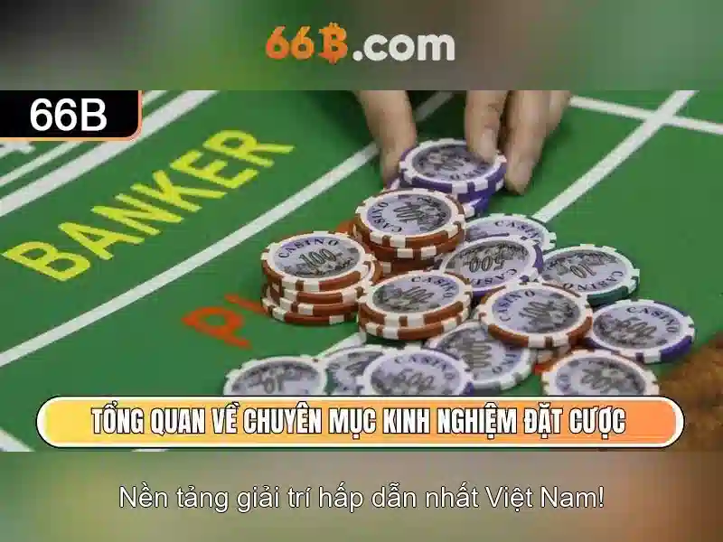 66B: Khái niệm và ứng dụng của một mô hình ngôn ngữ 66 tỷ tham số