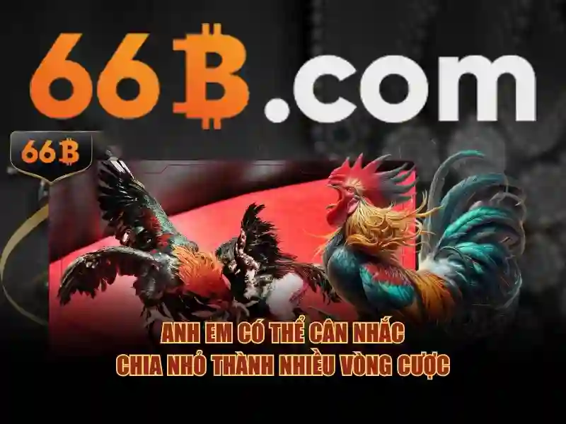 66b là một hệ mã thông minh
