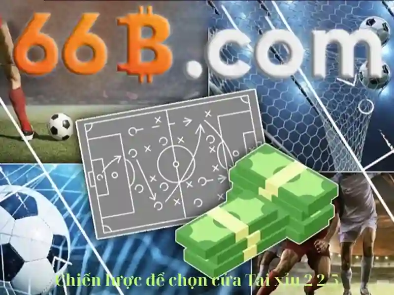 66b: một khái niệm công nghệ và văn hóa