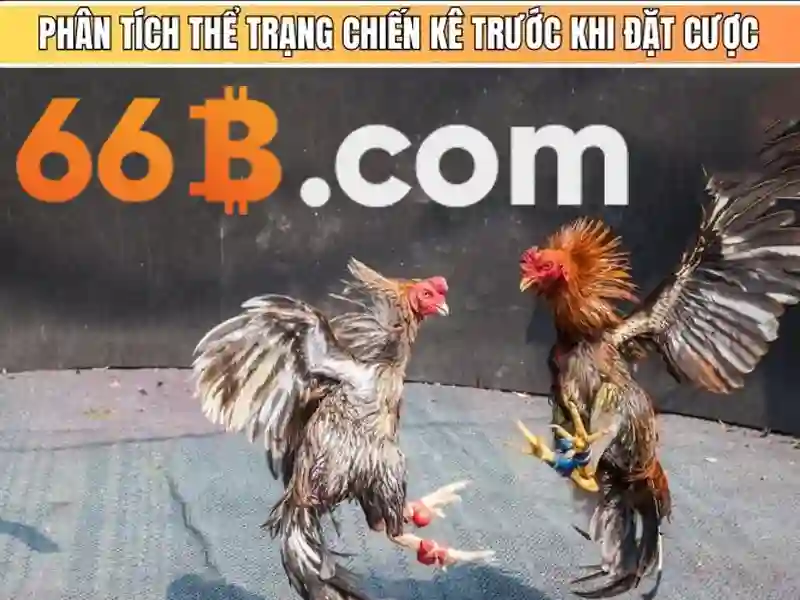 Tương lai của 66B