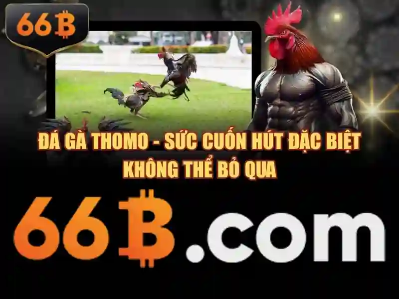 66b: một dự án AI đầy tiềm năng